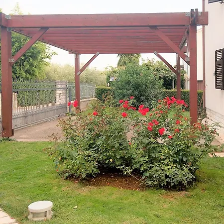 Guest house Sandra 3*